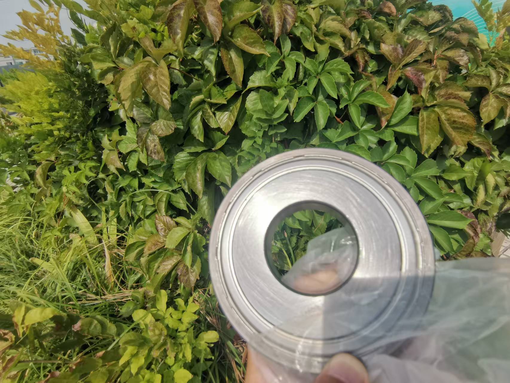 微信图片_20240918175158