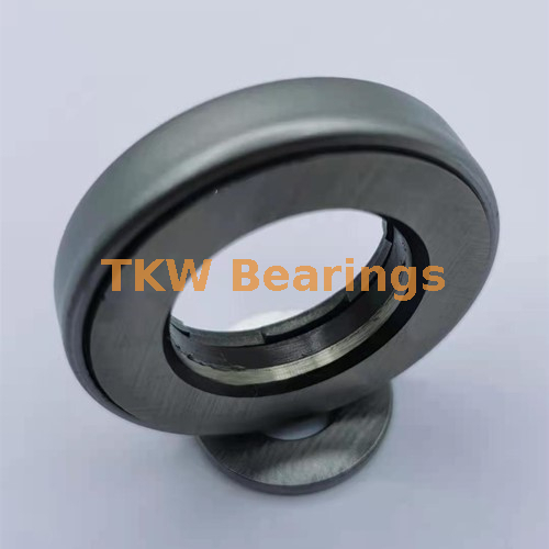 China B100 Thrust Roller KingPin Bearings with Nylon Cage