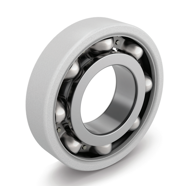 Ceramic Coating Bearing 6228/C3VL2071