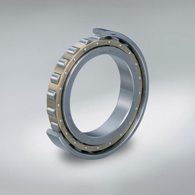 Single Row Cylindrical Roller Bearings (Standard Series)