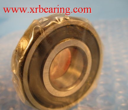 FAG S6204 stainless steel bearings