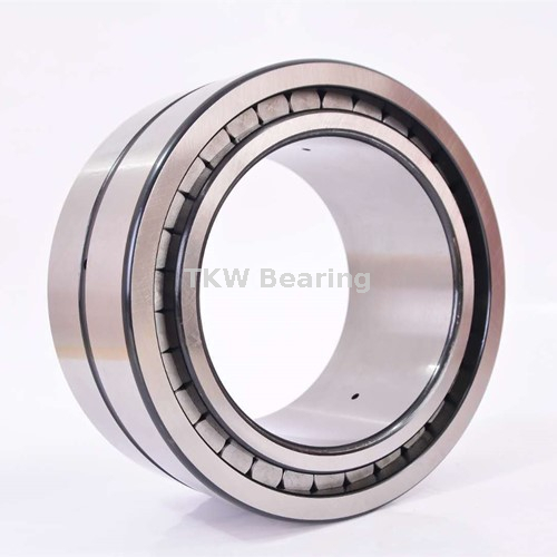 Full-Complement Cylindrical Roller Bearing RSL185010-A Semi-locating Bearing