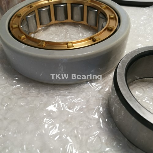NU315 ECP/VL0241 Insulated Bearings with Different Cage 