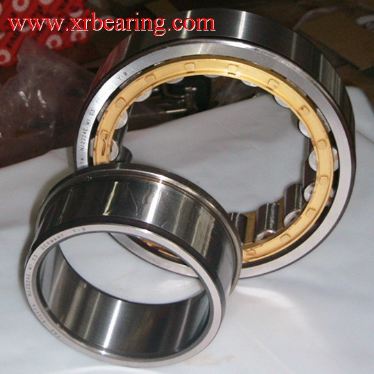 NUP226 ECM bearing