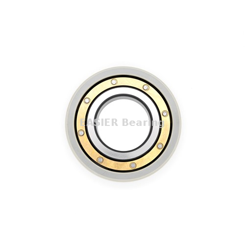 Electrically Insulated Bearings for Vfd Motors