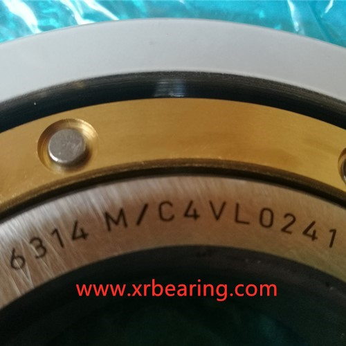 6324/C3VL2071 Bearing Insulation Resistance