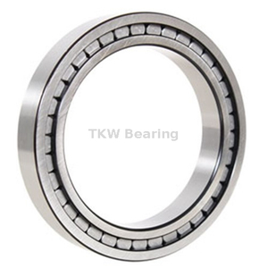 Full-Complement Cylindrical Roller Bearing RSL185010-A Semi-locating Bearing