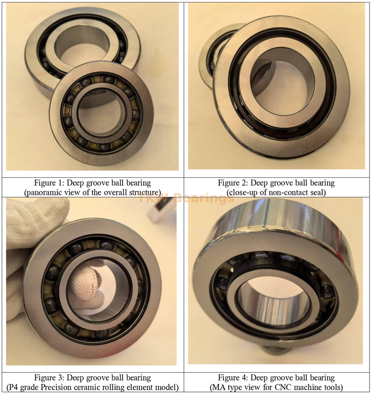 Precision bearings specially designed for servo motors