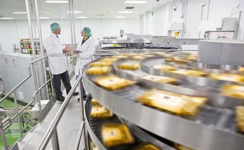 Stainless steel bearing for food machinery