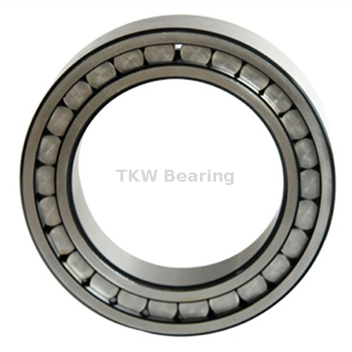 Full-Complement Cylindrical Roller Bearing RSL185010-A Semi-locating Bearing