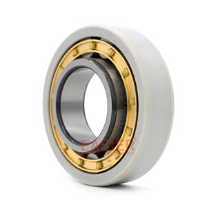 electrically cylindrical roller bearings