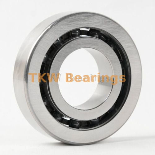 EPB60-47 Silicon Nitride Hybrid Ceramic Servo Motor Bearing