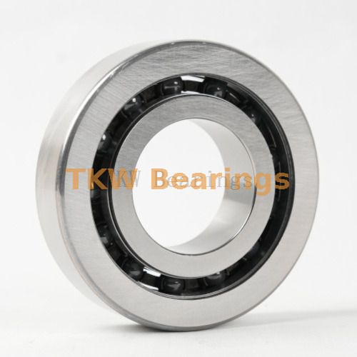 EPB60-47 Silicon Nitride Hybrid Ceramic Servo Motor Bearing